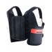 PROTECTIE COASTE ALPRINESTARS BIONIC